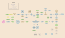 TOC Post Award preview